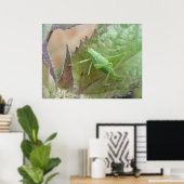 グリーンクリケットon a Leafプリント ポスター (ホームオフィス)