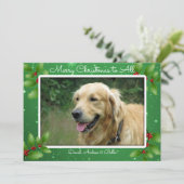 グリーンクリスマスキラキラ星ビッグフォトカード シーズンカード (スタンド正面)