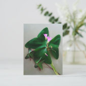 グリーンクローバーピンクの花々聖パトリックの日 ポストカード (スタンド正面)