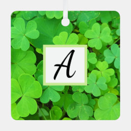 グリーンクローバー写真繁栄バイブル聖句イニシャル メタルオーナメント