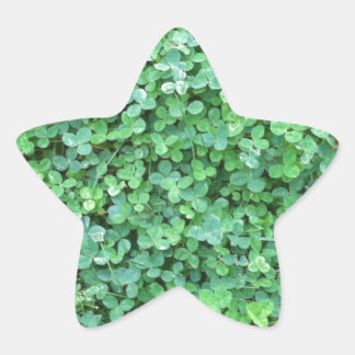 グリーンクローバー自然写真 星シール