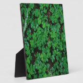 グリーンクローバー フォトプラーク (側面)