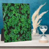 グリーンクローバー フォトプラーク (側面)