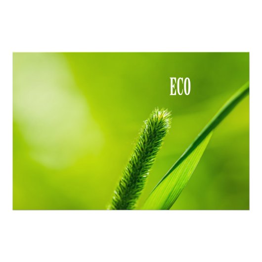 グリーングラスと太陽 – エコ フォトプリント            (正面)