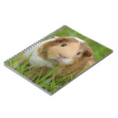 グリーングラスにかわいいトリコラーモルモット ノートブック (左側)