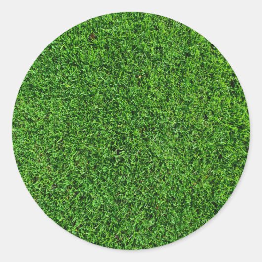 グリーングラスのテクスチャ ラウンドシール (正面)