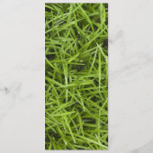 グリーングラスバックヤードサマー結婚式 プログラム (裏面)