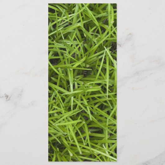 グリーングラスバックヤードサマー結婚式 プログラム (裏面)