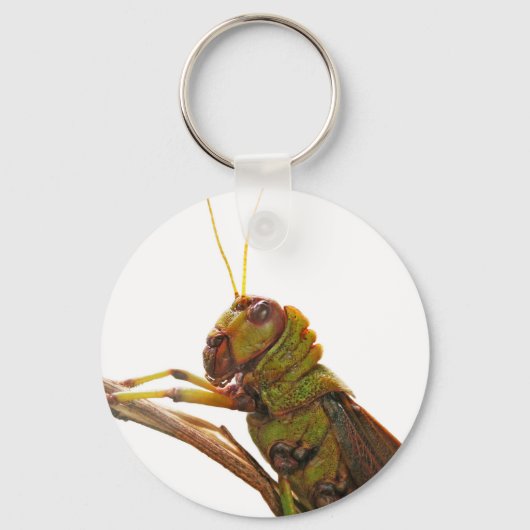 グリーングラスパークローズアップ詳細 キーホルダー (正面)