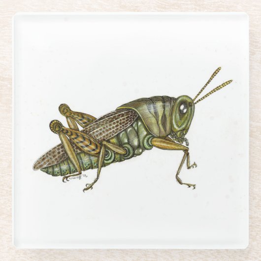 グリーングラスパーコースター ガラスコースター (正面)