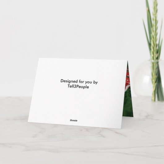 グリーングラスレッド水玉模様フォトノート誕生日カード カード (裏面)