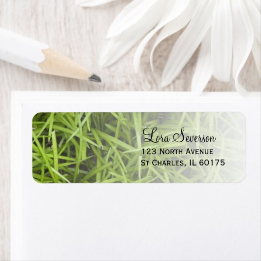 グリーングラス差出人住所 ラベル (インサイチュ)