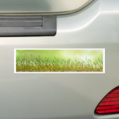 グリーングラス春ガーデン バンパーステッカー (車上)