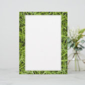 グリーングラス (スタンド正面)