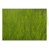 グリーングラス (正面横)