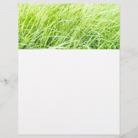 グリーングラス チラシ (正面)