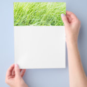 グリーングラス チラシ (手)