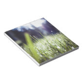 グリーングラス ノートパッド (アングル)