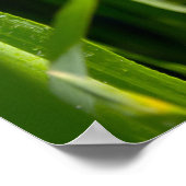 グリーングラス ポスター (角)