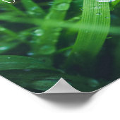 グリーングラス ポスター (角)