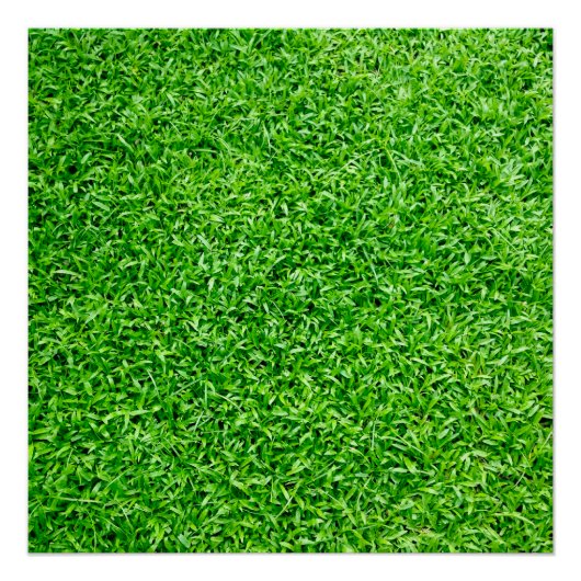 グリーングラス ポスター (正面)