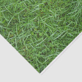 グリーングラス 薄葉紙 (詳細)