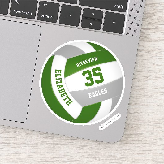 グリーングレーチームカラーガールズボーイズバレーボール シール (詳細)