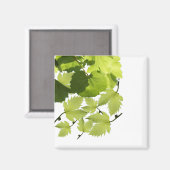 グリーングレープつる植物葉 マグネット (正面/裏面)