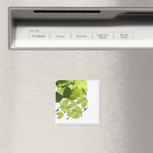 グリーングレープつる植物葉 マグネット (インサイチュ (食洗機))