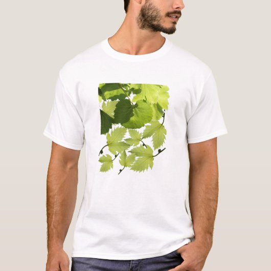 グリーングレープつる植物葉 Tシャツ (正面)