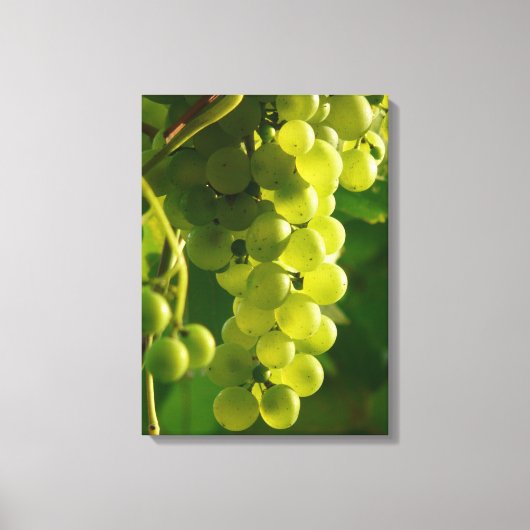 グリーングレープオンつる植物 キャンバスプリント (正面)