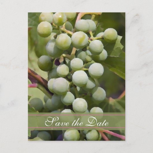グリーングレープブドウ畑の結婚式の日付を保存 案内ポストカード (正面)