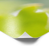 グリーングースベリー目覚めCC0306フォトプリント フォトプリント            (角)