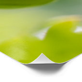 グリーングースベリーCC0324新しいオプション ポスター (コーナー)