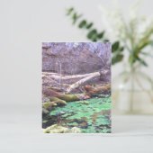 グリーンケーブ ポストカード (スタンド正面)