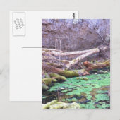 グリーンケーブ ポストカード (正面/裏面)