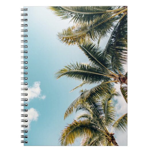 グリーンココナッツの木 ノートブック (正面)