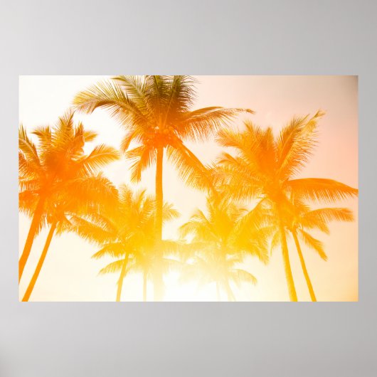 グリーンココナッツの木 ポスター (正面)