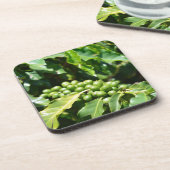 グリーンコーヒーベリーコルクコースター コースター (左側)