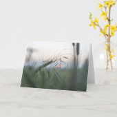 グリーンコーンフィールド自然写真 カード (黄色い花)