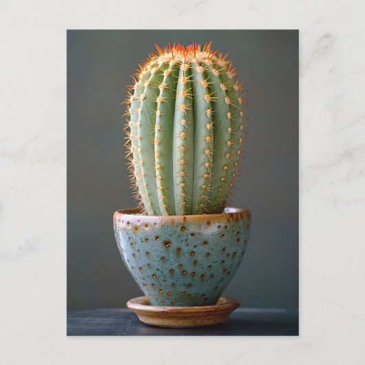 グリーンサボテンのティール(緑がかった色)セラミックポット写真 ポストカード (正面)