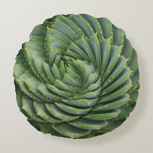 グリーンサボテン春花 ラウンドクッション (正面)