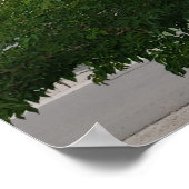 グリーンサマーファミリーツリーフォトポスター ポスター (角)