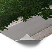 グリーンサマーファミリーツリーフォトポスター ポスター (角)