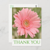 グリーンサンキューピンクガーベラデイジー花 ポストカード (正面/裏面)