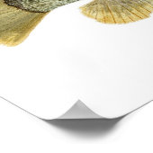 グリーンサンフィッシュウォーターカラー勉強 ポスター (角)