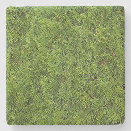 グリーンシダーウィズスクエアコースター ストーンコースター