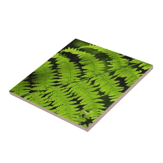 グリーンシダ タイル (側面)