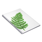 グリーンシダ ノートブック (右側)