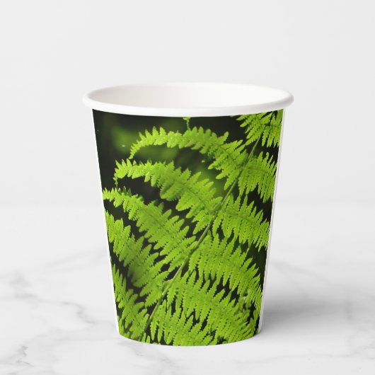 グリーンシダ 紙コップ (裏面)